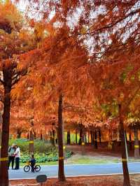 上海的秋天｜藏在康橋的「大興安嶺」小眾秘境！