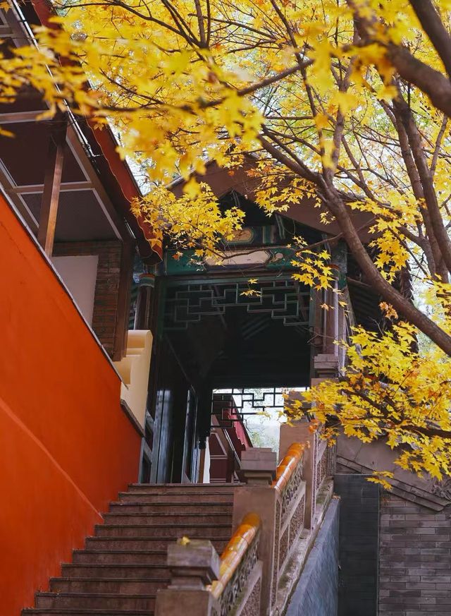 稷山酒店套房攻略