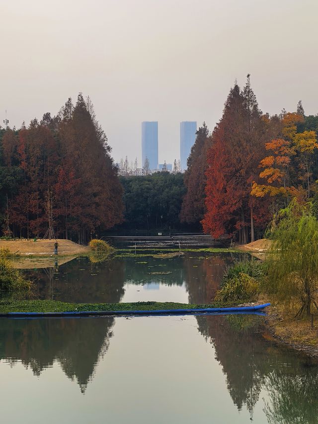 上海，沔青公園