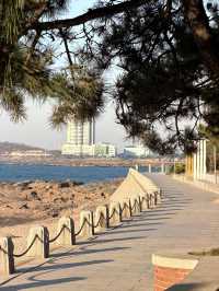 青島冬日Seawalk新路線太平角公園拍照攻略Get!