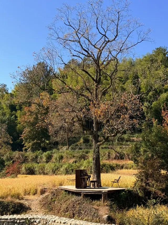 皖南賞秋|安徽四天三晚遊分享 皖南賞秋|安徽四天三晚遊分享