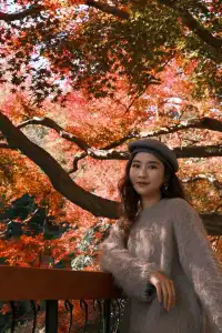 總要去莫干山看一次楓葉吧!