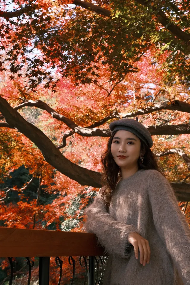 總要去莫干山看一次楓葉吧! 總要去莫干山看一次楓葉吧!