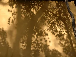 Lingyin Temple in Hangzhou: The red leaves have turned red