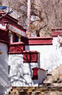 色拉寺值得去兩次!我的波折與圓滿全攻略