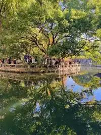 蘇州|西園寺已進入秋季最佳觀賞期