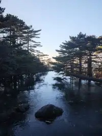 11.28登黃山後復盤