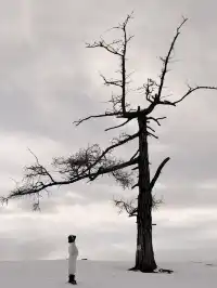 為了這18張圖，我特地飛了一趟阿勒泰（附攻略