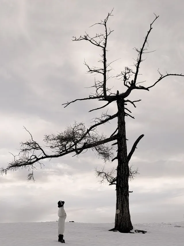 為了這18張圖，我特地飛了一趟阿勒泰（附攻略