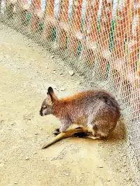 安吉嘉樂比|帶孩子在遊樂園狂嗨一整天~