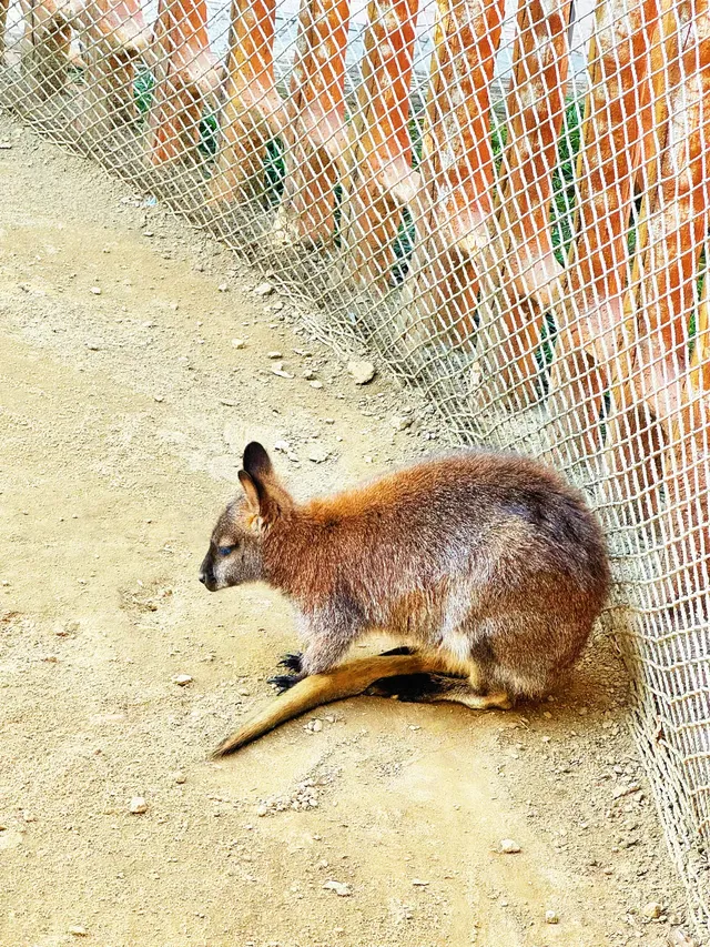 安吉嘉樂比|帶孩子在遊樂園狂嗨一整天~ 安吉嘉樂比|帶孩子在遊樂園狂嗨一整天~