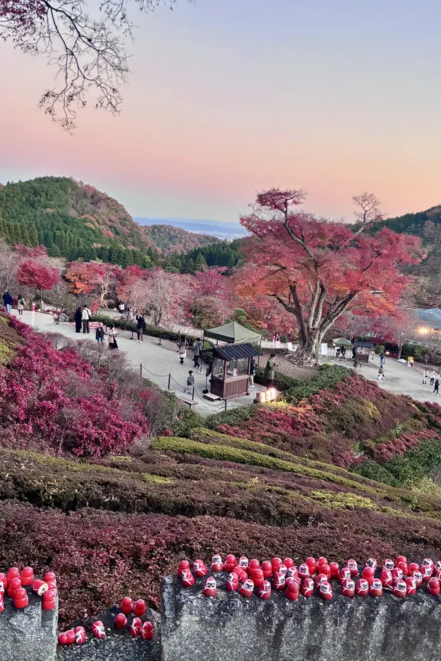 大阪勝尾寺夜間點燈絕美!跟白天完全不同 大阪勝尾寺夜間點燈絕美!跟白天完全不同
