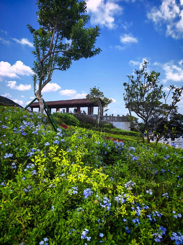 惠州羅浮山|登高尋訪葛洪跡 觀瀑聽泉洗塵心 惠州羅浮山|登高尋訪葛洪跡 觀瀑聽泉洗塵心