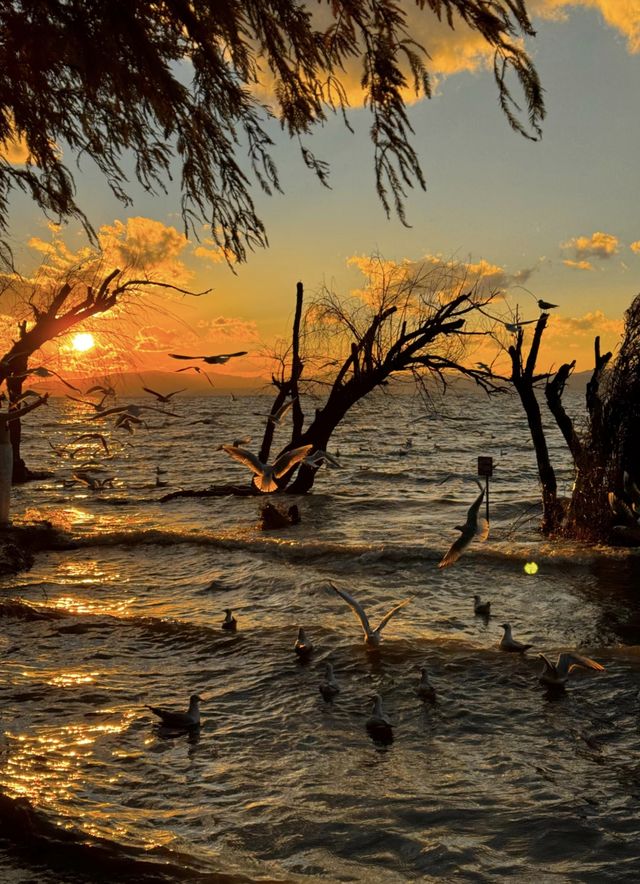 日落是溫柔，浪漫是和你一起看過的瞬間