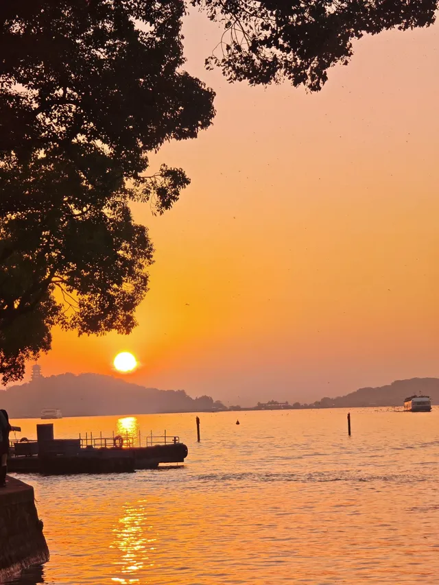 無錫｜鼋頭渚的海鷗從不失約