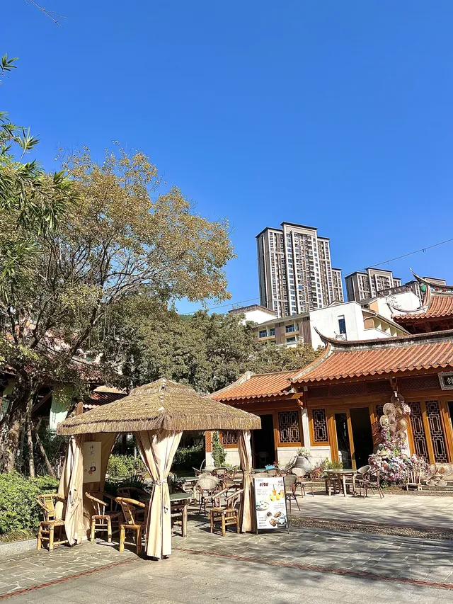 溪禾山當一天“茶農”，玩轉鐵觀音文化～