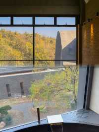 南京湯山朋友以為我在日本泡溫泉