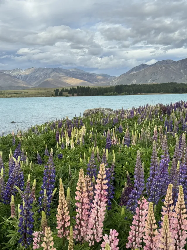 我們的蜜月天地山河為證(新西蘭10天版) 我們的蜜月天地山河為證(新西蘭10天版)