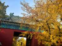 來北京絕對要住的寶藏酒店距離各大景點步行可達，重點是小哥哥們帥服務還好，愛了愛了～  這次北京4日