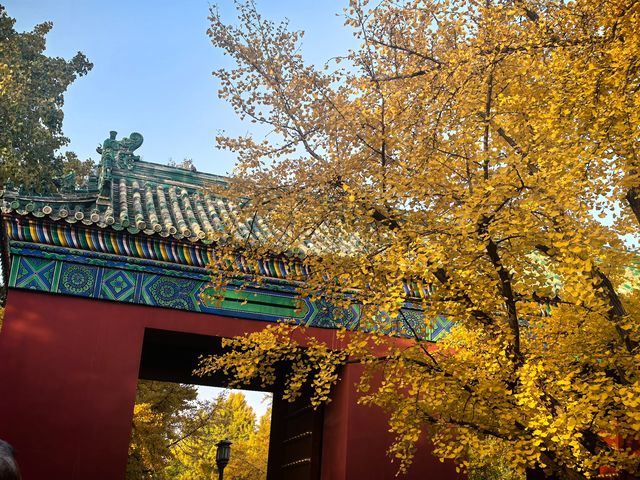 來北京絕對要住的寶藏酒店距離各大景點步行可達，重點是小哥哥們帥服務還好，愛了愛了～  這次北京4日