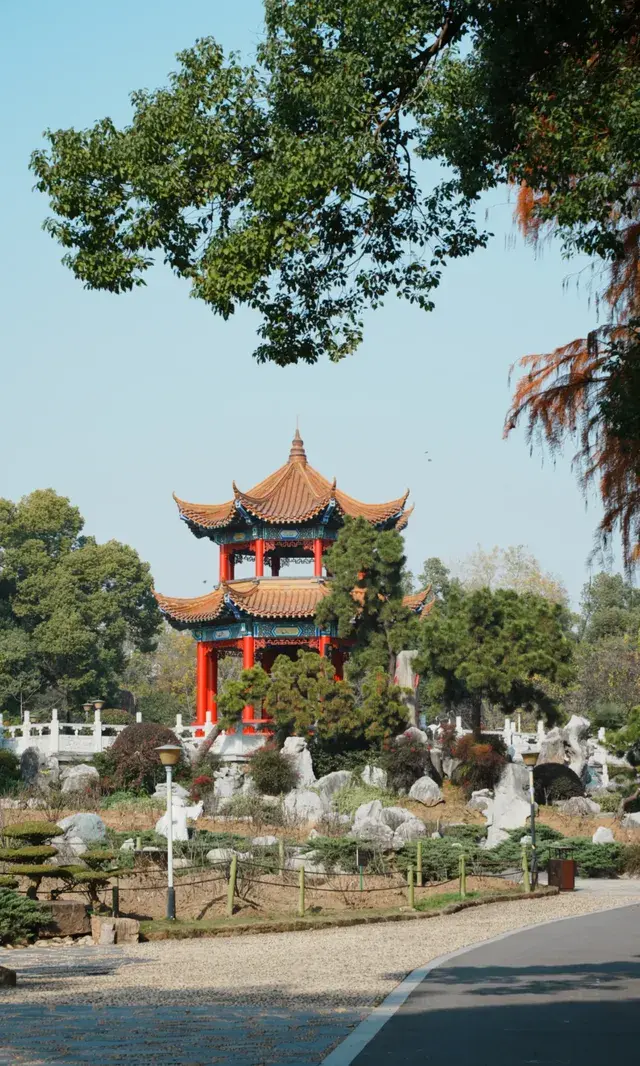 武漢東湖邊藏了個金色+鏽紅色的油畫秋天 武漢東湖邊藏了個金色+鏽紅色的油畫秋天