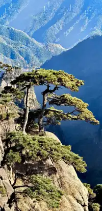 黃山2天|北上南下不費腿