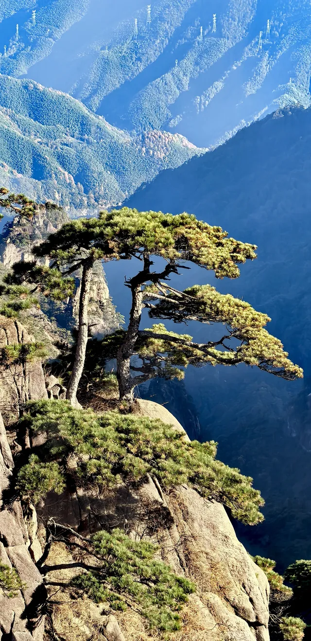 黃山2天|北上南下不費腿 黃山2天|北上南下不費腿