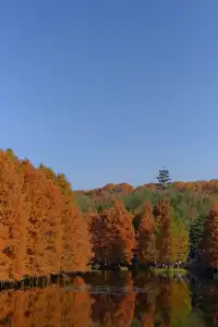 南京秋冬懶人路線