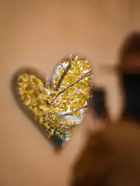 老錢風穿搭魔都秋日法式梧桐區citywalk