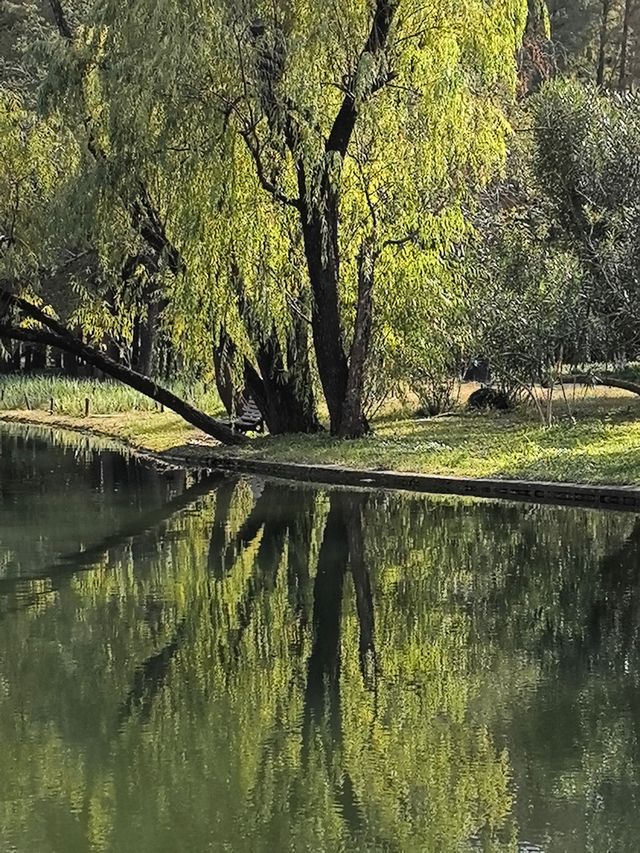 秋天的共青森林公園彷彿是一幅油畫 秋天的共青森林公園彷彿是一幅油畫