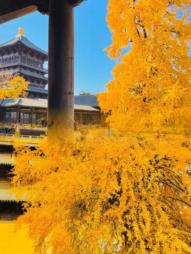 迄今為止,我最愛的江南古鎮出現啦 迄今為止,我最愛的江南古鎮出現啦