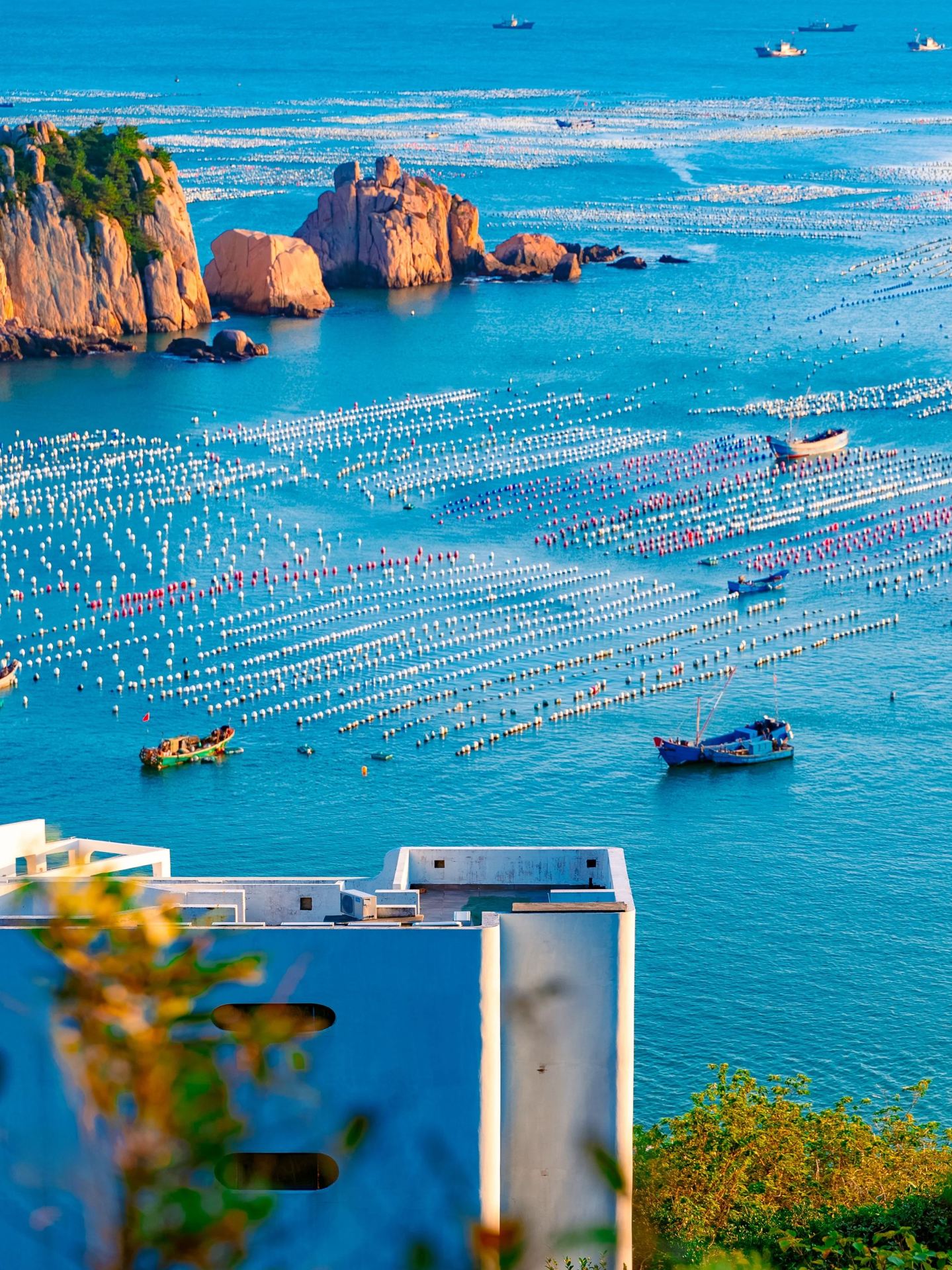 National Geographic didn’t lie to me—this is the ideal destination for Zhejiang people