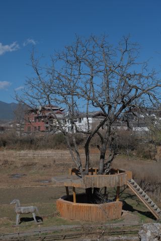 Being a farm girl for half a day at the foot of the snow-capped mountain