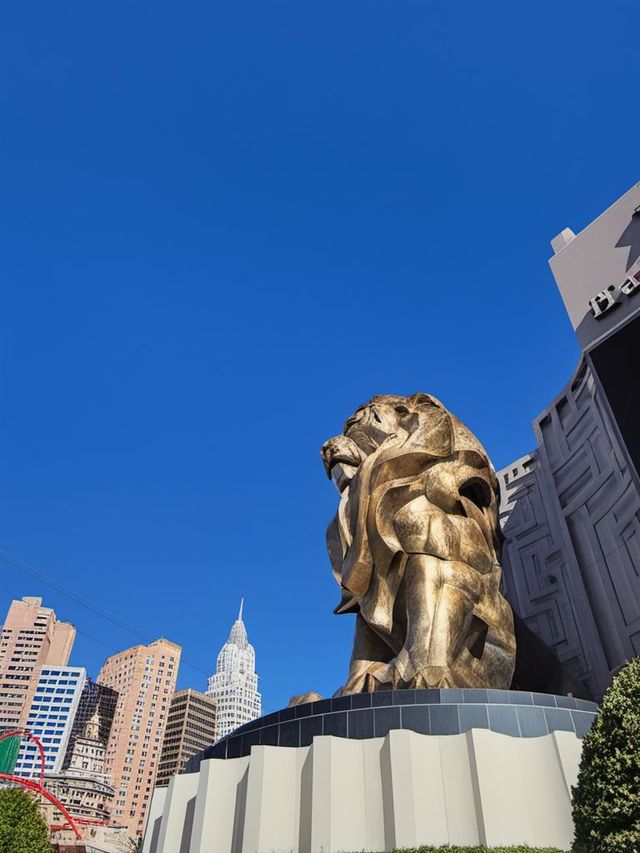 美國14日遊攻略保姆級路線不踩雷