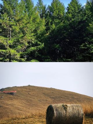 สำรวจอุทยานแห่งชาติฮาดาเมน ในเมืองโฮฮอต มองโกเลียใน!