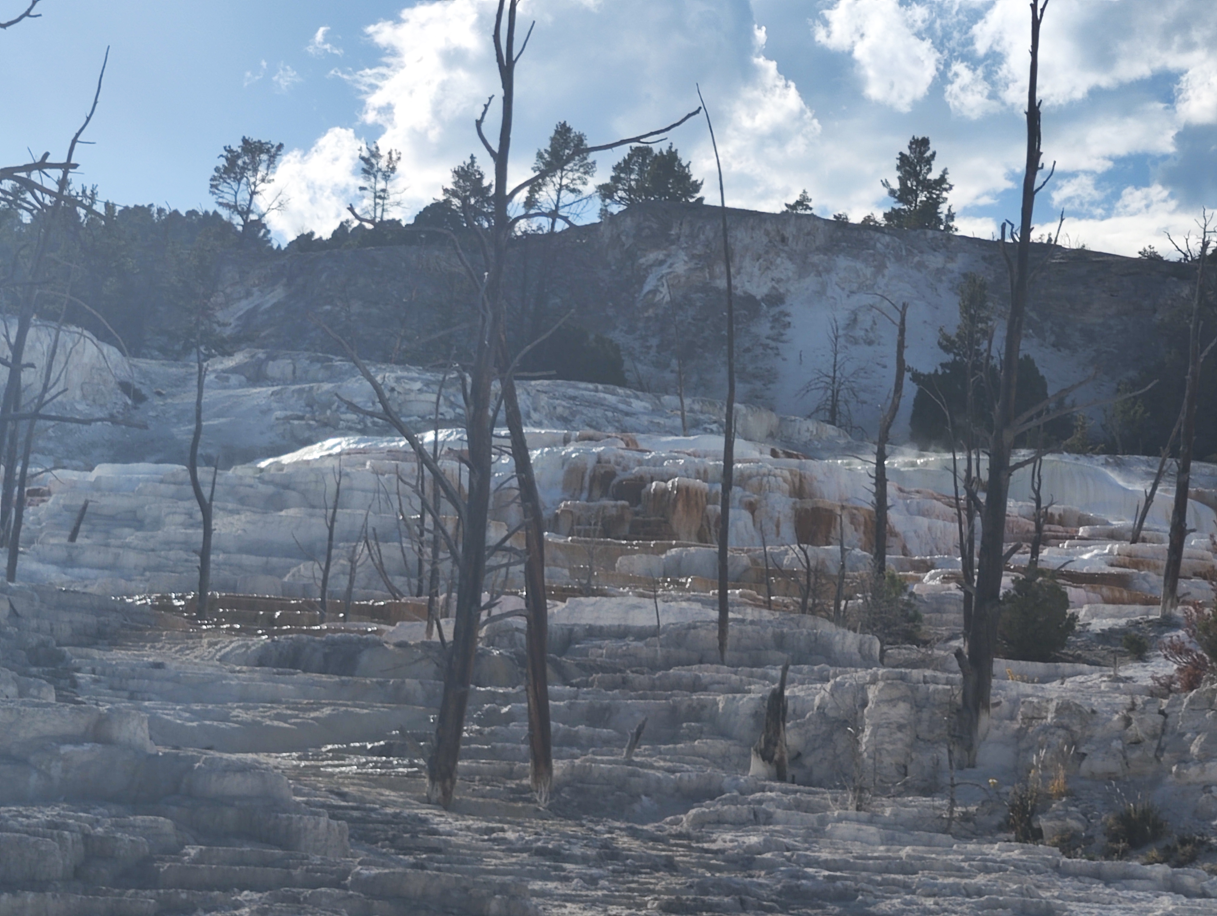 【美國 攻略 2026】Coconino County, Navajo County Trip.com 精選 — 港人實用指南 Coconino County, Navajo County, Park County - Yellowstone National Park 8-Da - 圖 5