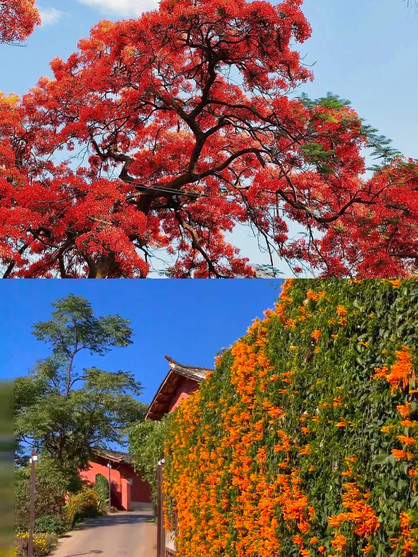 Panzhihua | An underrated sunny town, perfect for escaping the