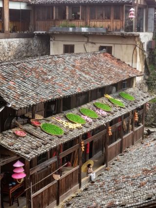 ภูเขาทั้งหมดปกคลุมไปด้วยใบชาเขียวชอุ่ม! ซงหยาง คุณยังมีหมู่บ้านโบราณที่ซ่อนเร้นอีกกี่แห่งกันนะ?