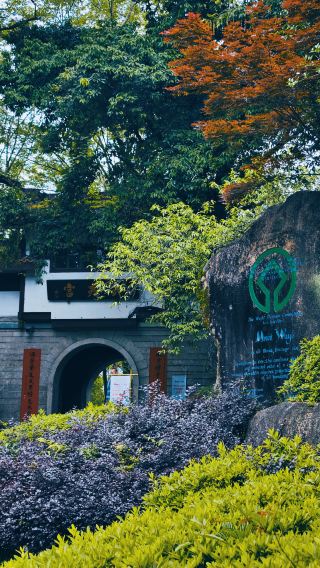 Hidden in Wuyi Mountain, the Millennium Secret Realm of Wuyi Palace: a Healing Ancient-Style Walk