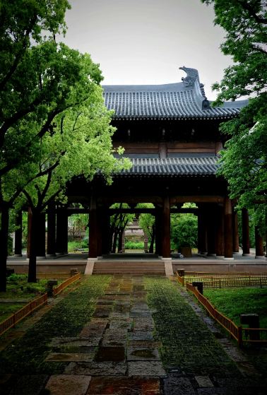 質問が殺到している煙雨の江南！濮院古鎮の雨の日こそ、本物の水墨画