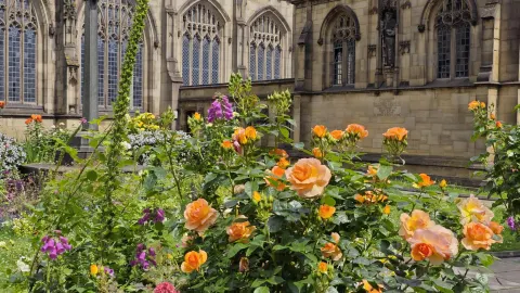 Europe 5-day tour covering multiple countries’ hidden gems full guide — traveler post in Limerick