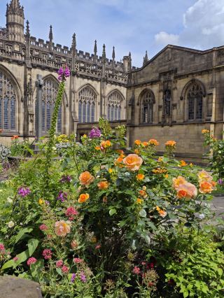 Europe 5-day tour covering multiple countries’ hidden gems full guide