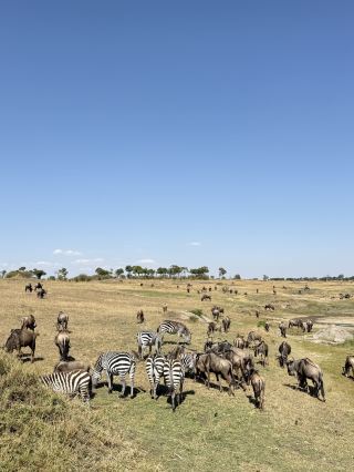 Explore Tanzania and beyond on this 8-day multi-country tour