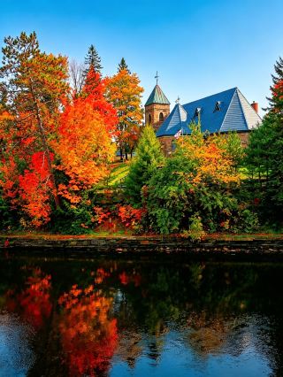 [Canada Fall Foliage 4] Blue skies, clear waters, and red leaves: Autumn scenery by Lake Muskoka