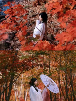 Seriously, autumn in Northeast China is so underrated! 