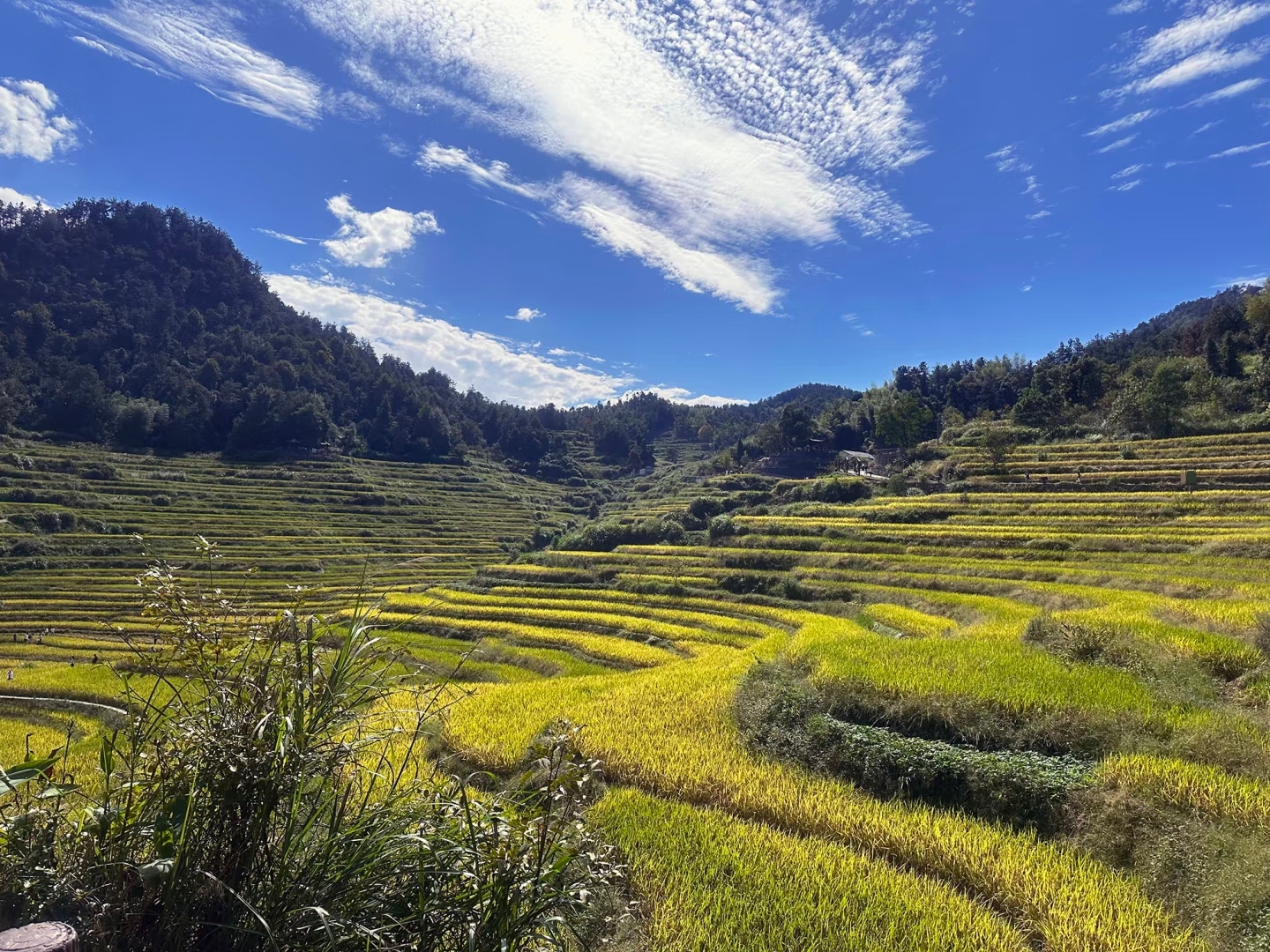 Around Wuhan | 2-Day 1-Night Off-the-Beaten-Path Dabie Mountains Road Trip