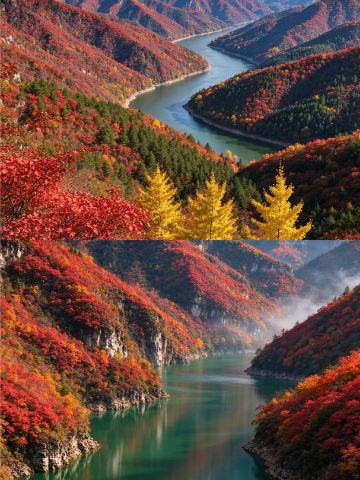 Hey everyone! Stop fighting the crowds at Guangwu Mountain! Shaanxi is hiding a stunning red-leaf canyon