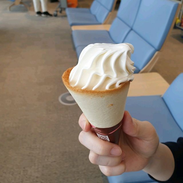 겨울에 다녀온 삿포로 여행 볼거리가 많은 치토세 공항