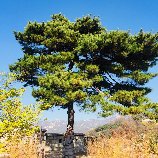 Chungun park korea