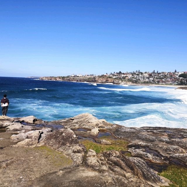 Sydney Bronte-Bondi Coastal Walk